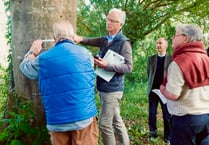 Archdeacon of Totnes meets South Hams tree wardens