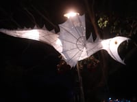 Floral Dances, Glove Hanging,  and Samba delight Fair goers