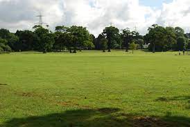 Wildlife Day coming to Filham Park in Ivybridge