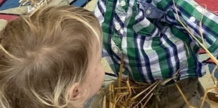 Local academies celebrate annual Harvest Festival 