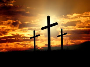 Thurlestone Church's £20k fundraiser with Give to Go Green