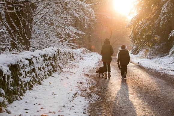 Woodland Trust recommended walks