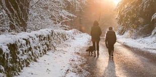 Enjoy a wintry wood walk this Christmas