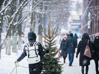 4 ways to keep busy between Boxing Day and New Years