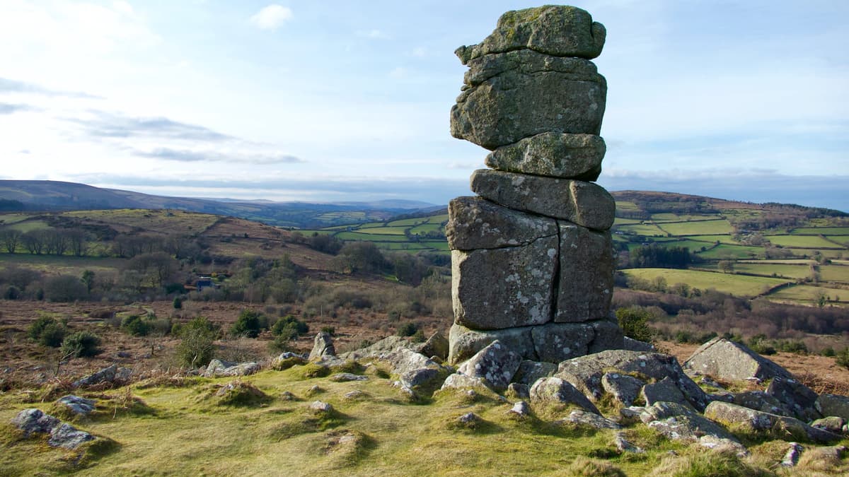 Farming in Protected Landscapes programme extended on Dartmoor