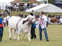 Big plans afoot for Devon County Show 2023