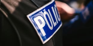 Illegal music event shut down at Haldon Forest
