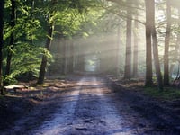 New conference highlights the importance of conservation