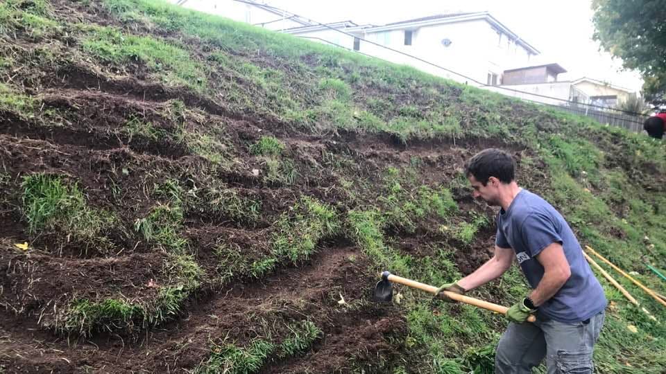 Rewilding project takes place in Kingsbridge kingsbridgetoday.co.uk