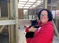 Woodside Animal sanctuary launch 'leaky roof appeal'