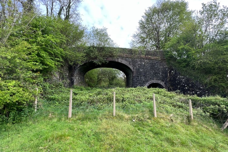 Wortha Mill Bridge on Dartmoor before maintenance works and vegetation clearance.