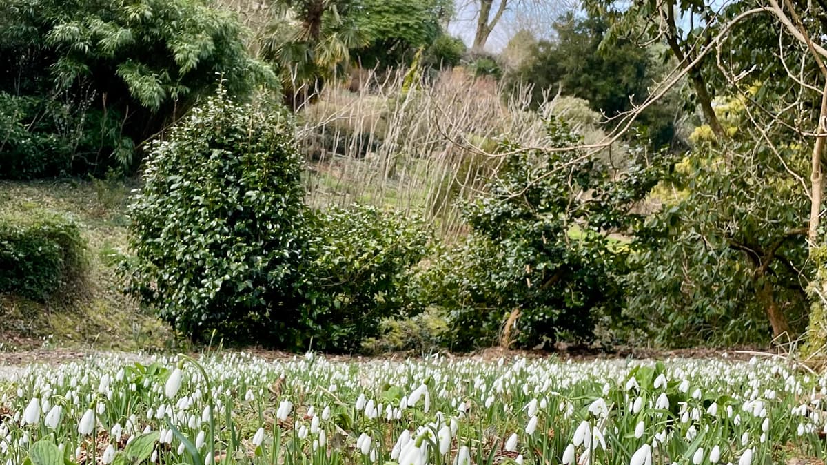 Lukesland Gardens in Ivybridge raises thousands for Turkey earthquake