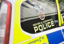 Man fined for police assault and drug possession