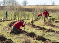 Charities send urgent SOS for nature