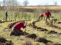 Devon County Council greenlights landmark community forest plan