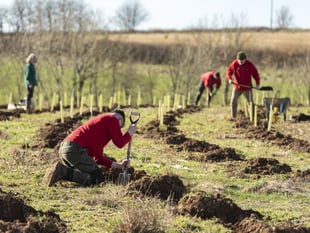 Devon County Council greenlights landmark community forest plan