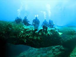 Totnes Sub Aqua Club