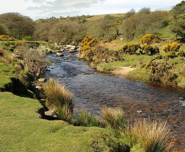 96% of English bathing waters meets required water quality standards