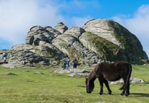 MPs secure inquiry into management of Dartmoor