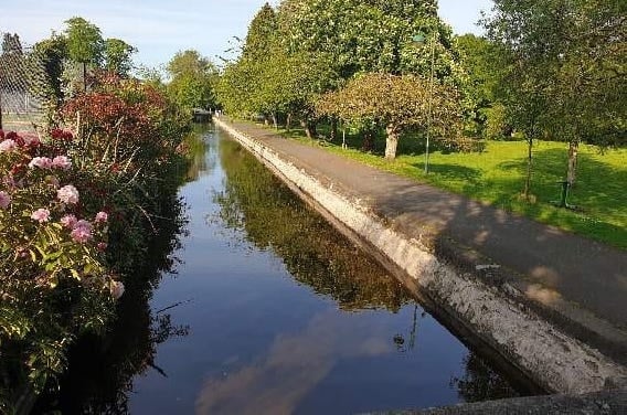 tavistock canal