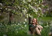 National Trust in South West invites public to celebrate spring
