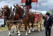 WATCH: a magnificent display of Heavy |Horses at the Devon County Show