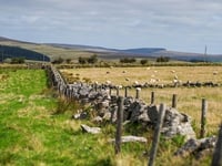 Prince’s Countryside Fund and Morrisons launch Carbon Clarity guide
