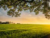 Leading local farmer found dead