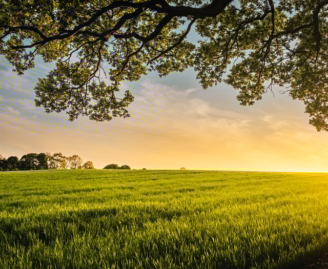 High profile Kingswear farmer admits illegal dumping on his land