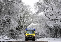 Westcountry paramedic's 'Beast from the East' shot wins top prize