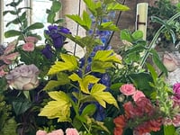 Community comes together for flower festival
