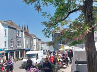 Councillors to help with filling in town surveys