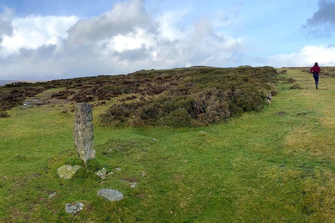 The site in Dartmoor is believed to date from the Mesolithic period, between  10,000 and 4,000BC