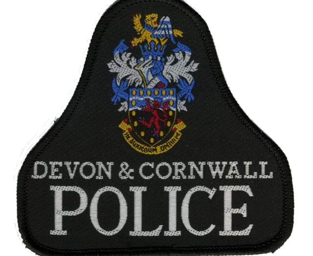 Former cop charged with rape