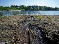 Thousands of sewage overflows in South Hams last year