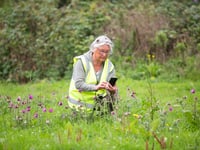 Pioneering conservation project launches at Sherford 