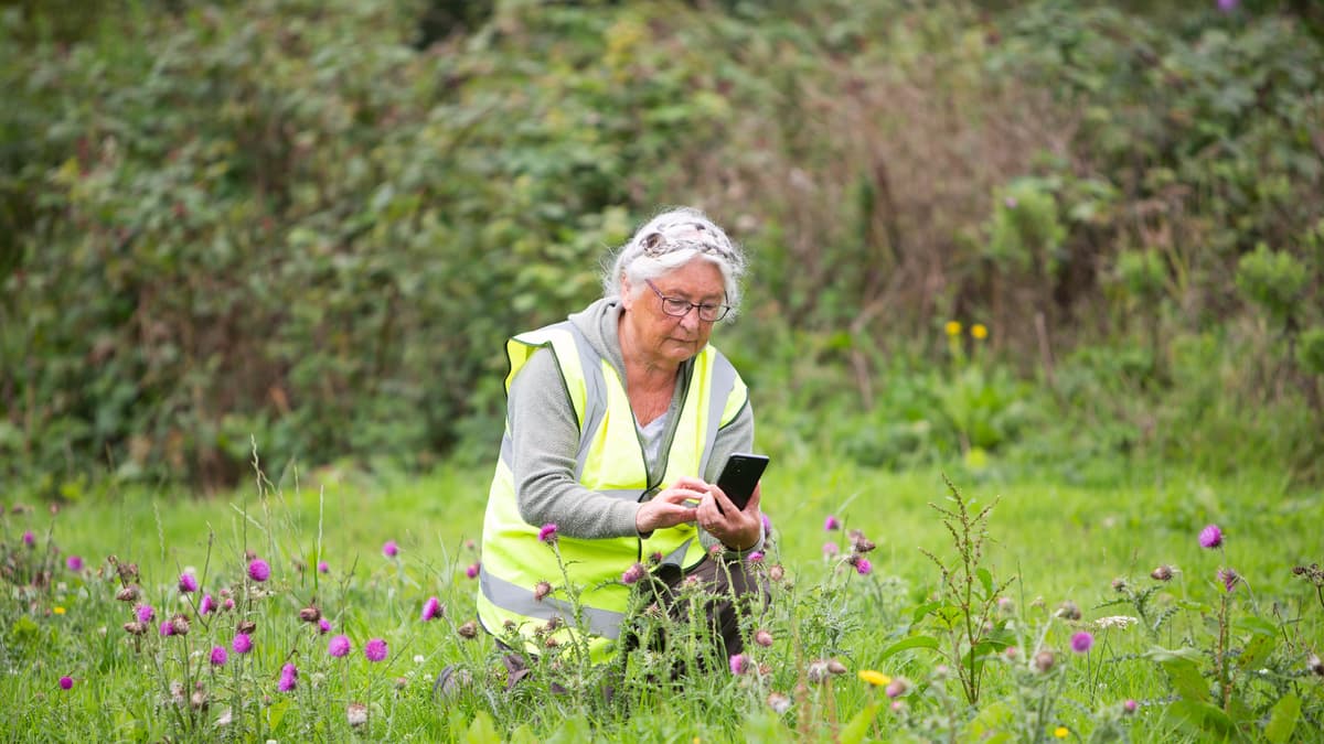 Pioneering conservation project launches at Sherford kingsbridge