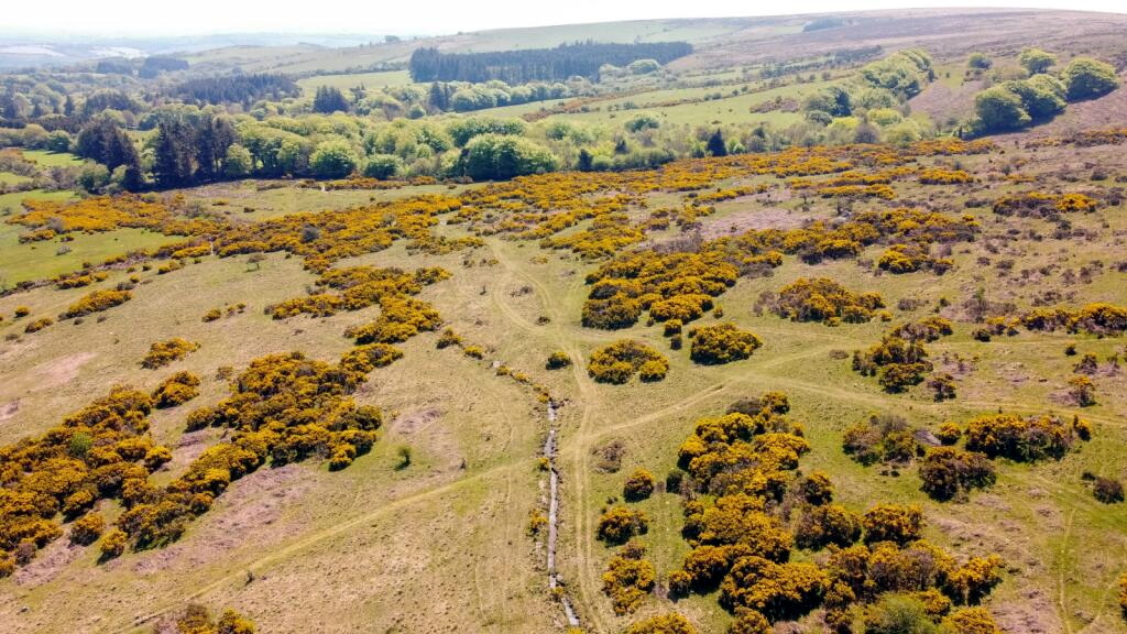 Devon Wildlife Trust publish landmark report on nature