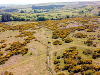 Devon Wildlife Trust publish landmark report on nature