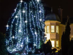 Tree of light honours lost loved ones 