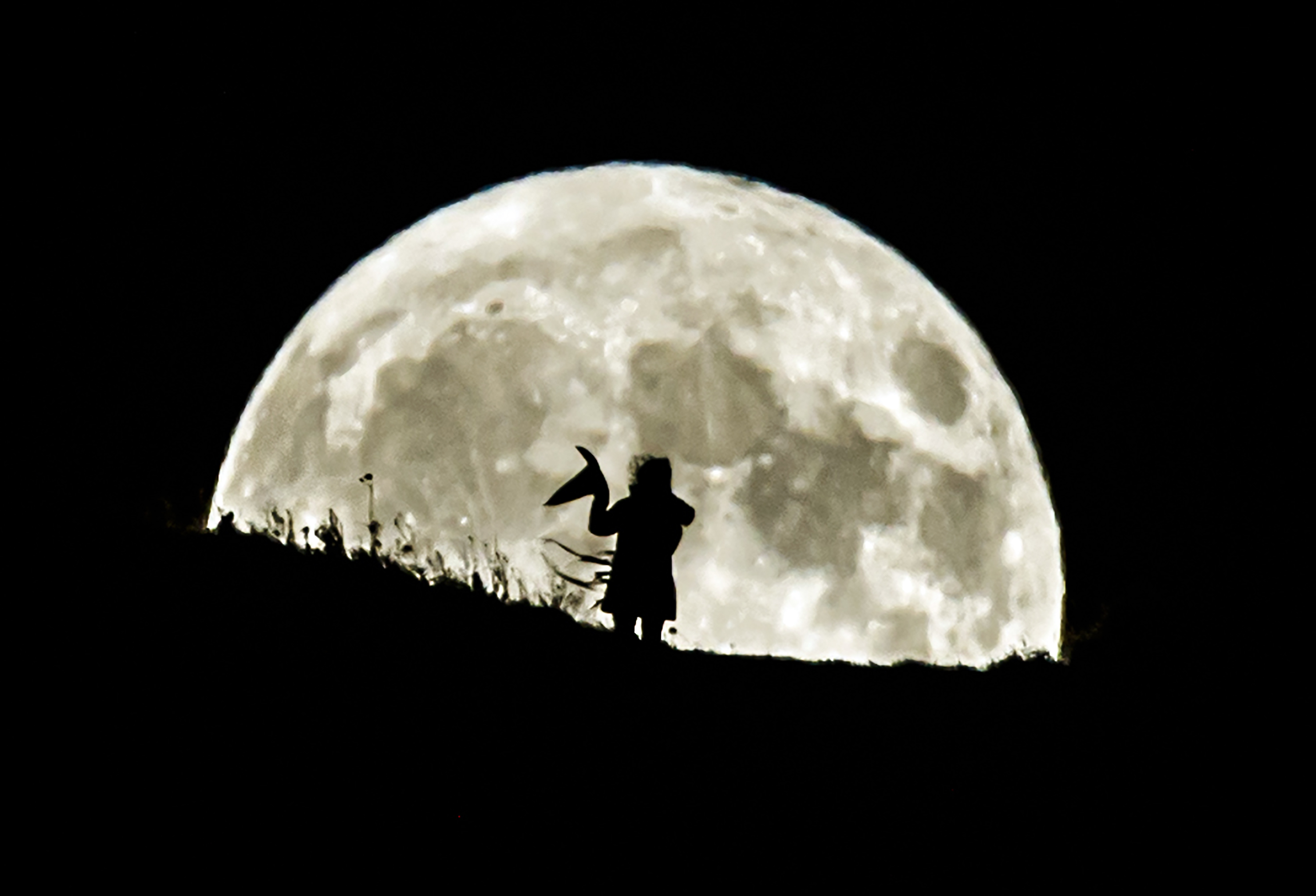 Halloween 2023: More witches living in South Hams