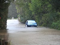 Devon tackles Storm Ciaran damage with 80 trees down