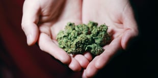 16-year-old boy ran £100,000 online cannabis shop
