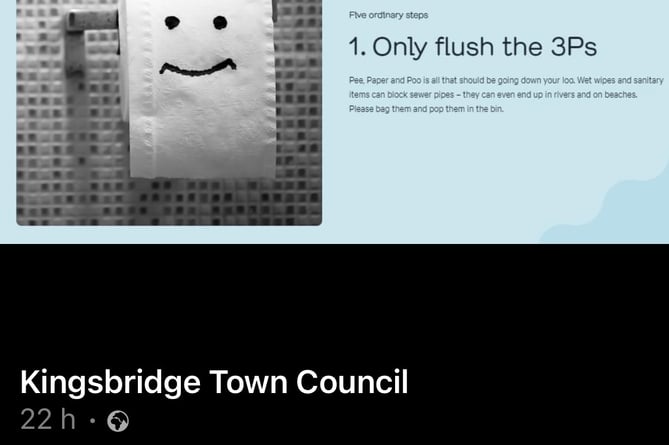Kingsbridge town council posted advice on its Facebook page