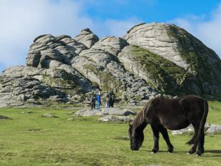 Supreme Court to hear wild camping challenge