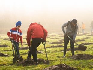 300,000 free trees still up for grabs for schools and communities
