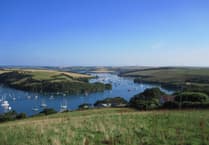 Estuaries in the South Hams: Nature Notes