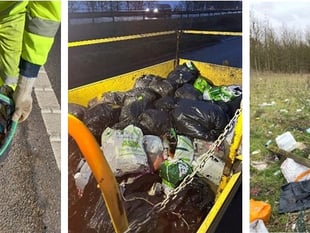 That's rubbish! Piles dumped on Devon's roads