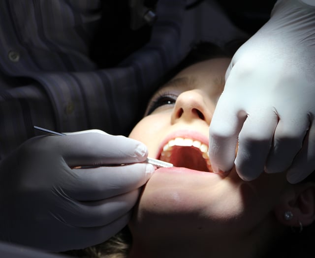 Dentist 'van' to help ease treatment crisis 