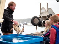 Salcombe Crabfest returns on Sunday